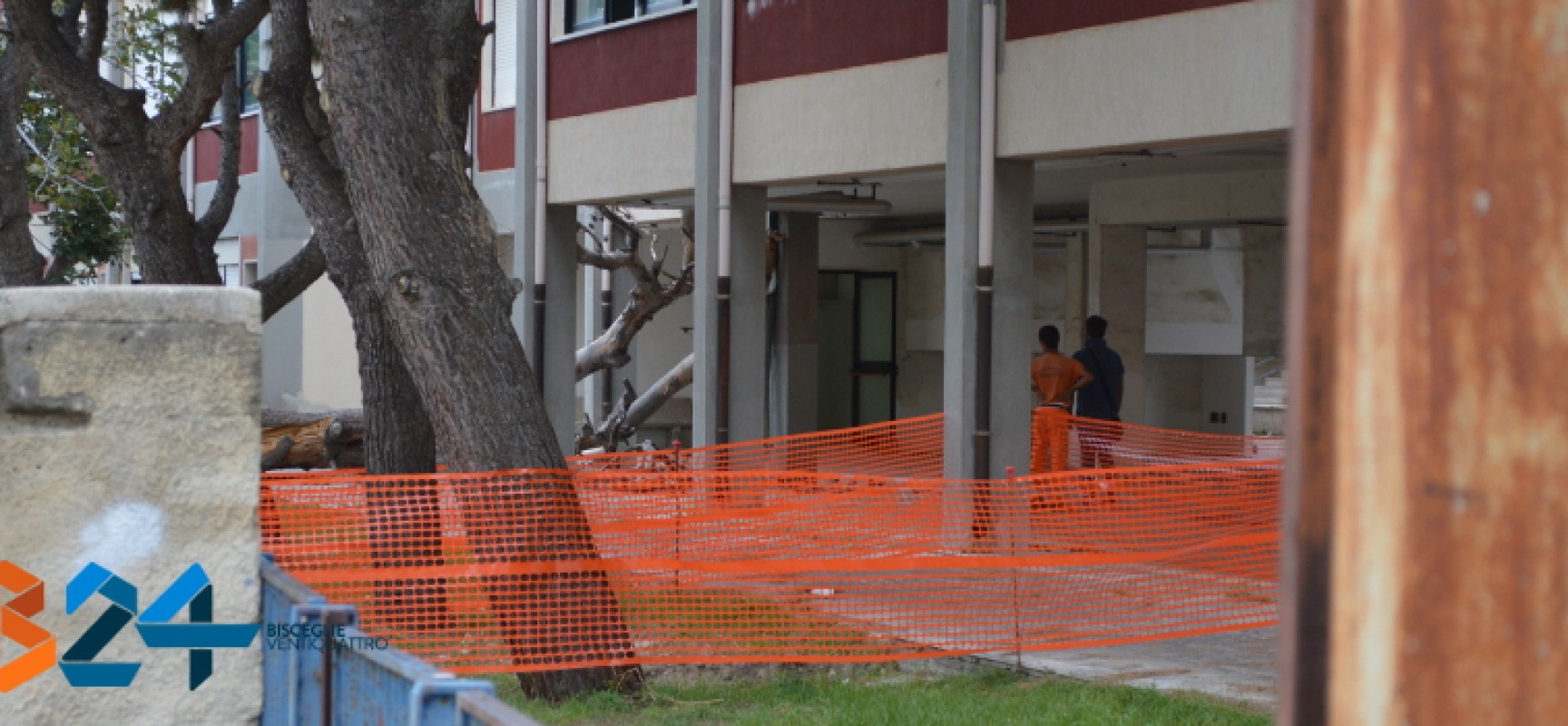Scuola Salnitro, cade albero e provoca danni a due aule / FOTO