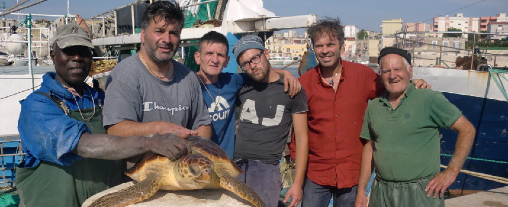 Salvata una tartaruga marina al largo della costa tra Trani e Bisceglie