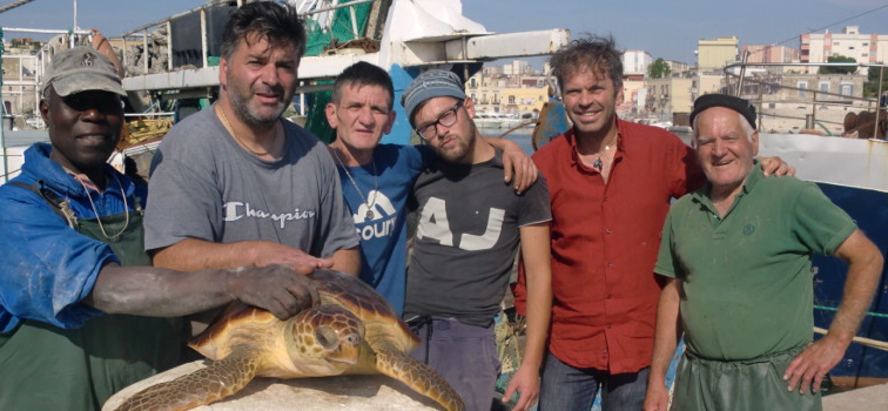 Salvata una tartaruga marina al largo della costa tra Trani e Bisceglie