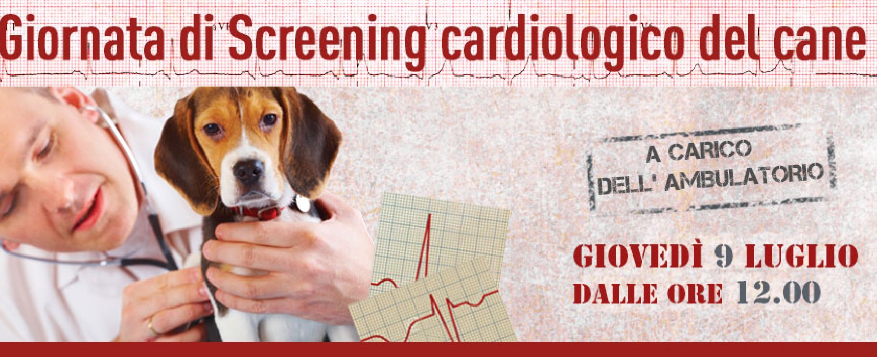 Screening cardiologico gratuito presso l’ambulatorio veterinario “Dott. Gennaro Papagni”
