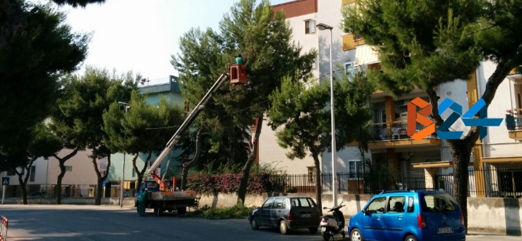 Via Di Vittorio: pino messo in sicurezza, permane il rischio di altri cedimenti nella zona
