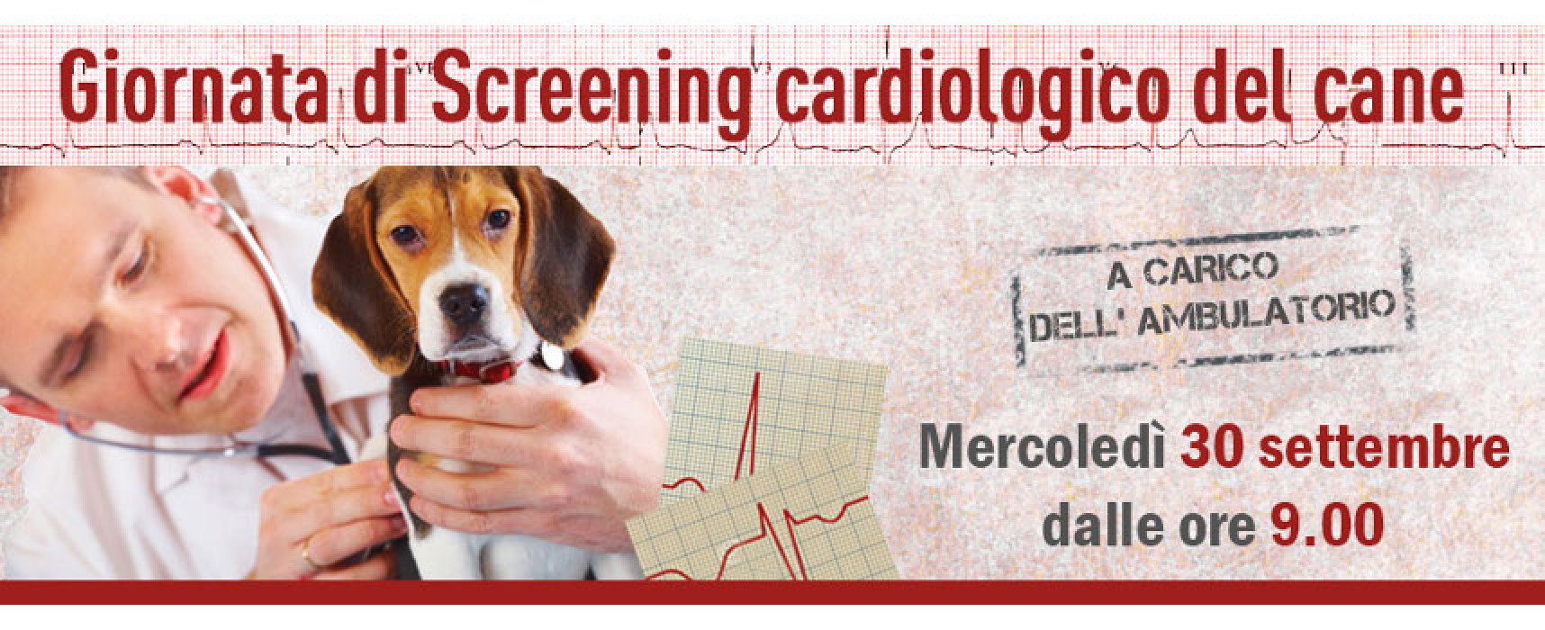 L’ambulatorio Papagni promuove a sue spese la giornata dello screening cardiologico del cane