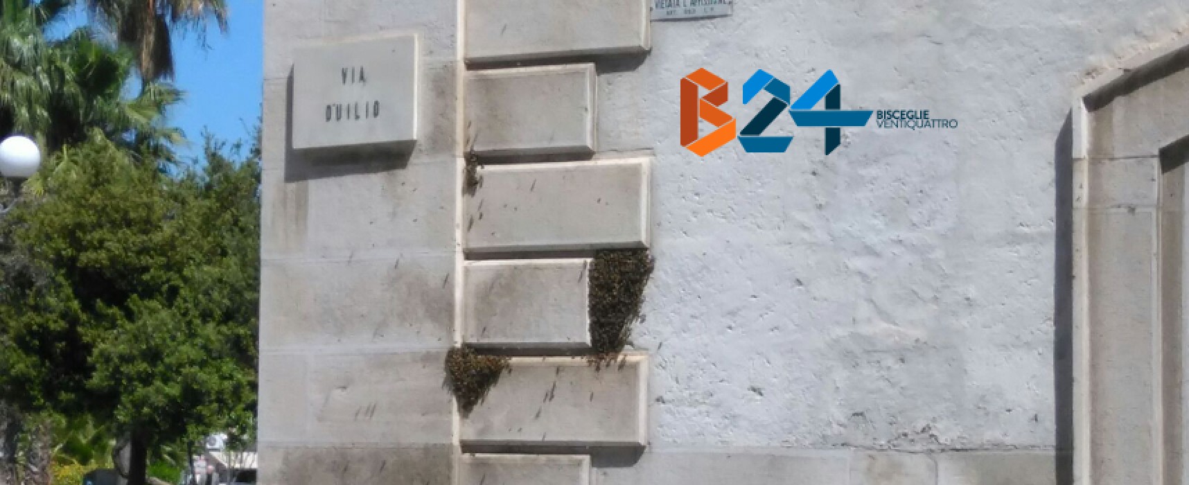 Grosso sciame di api in pieno centro sulla parete di uno stabile / FOTO