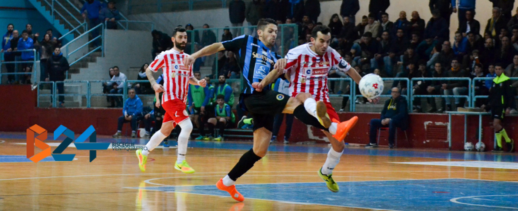 Futsal Bisceglie: ancora segno x, fermato in casa dal Cristian Barletta