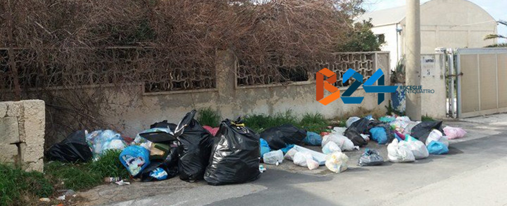 Ancora rifiuti abbandonati per strada: zona BiMarmi invasa da sacchetti di immondizia / FOTO