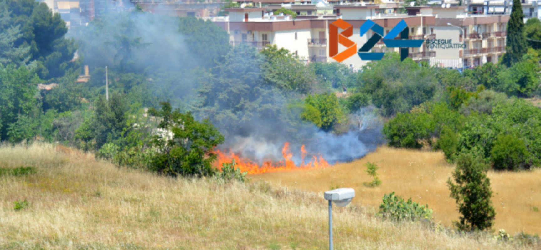 Incendio in alcuni campi del quartiere Sant’Andrea