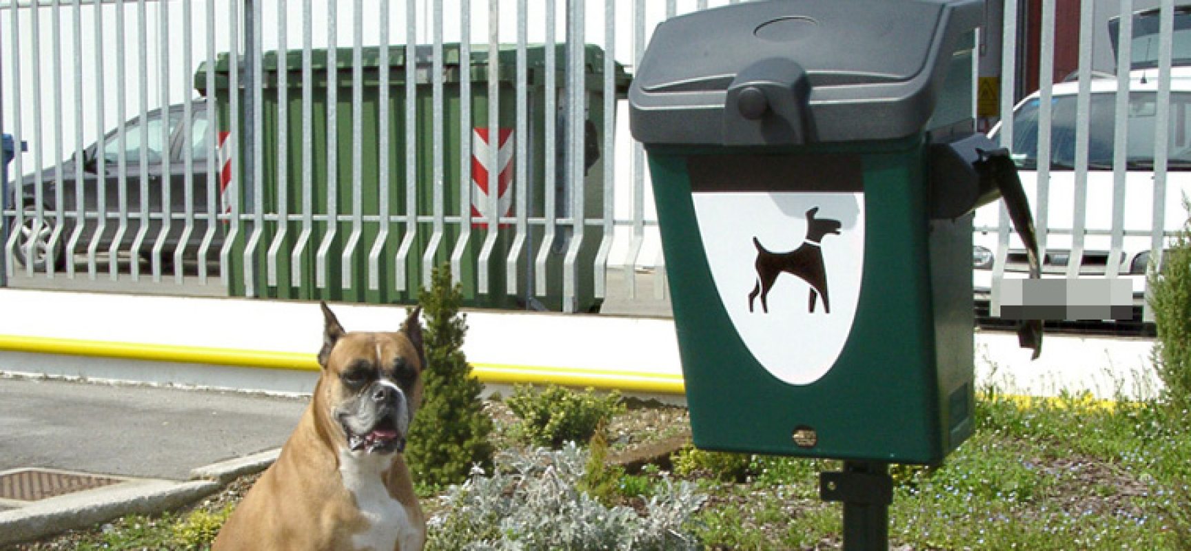 Cestini per deiezioni canine, ne saranno installati 20 in tutta la città