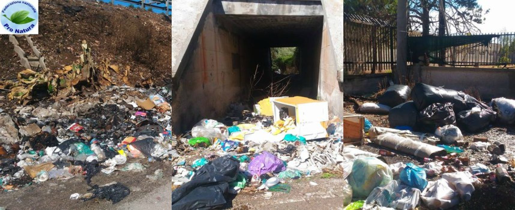 Abbandono rifiuti, Mauro Sasso: “Situazione peggiorata, intere vie invase da spazzatura” / FOTO