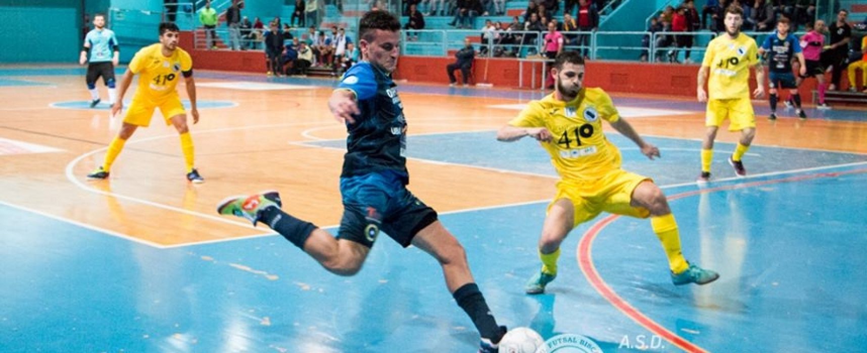 Futsal Bisceglie, parla il vice-presidente Monopoli: “Contro il Noicattaro dobbiamo vincere per il morale”