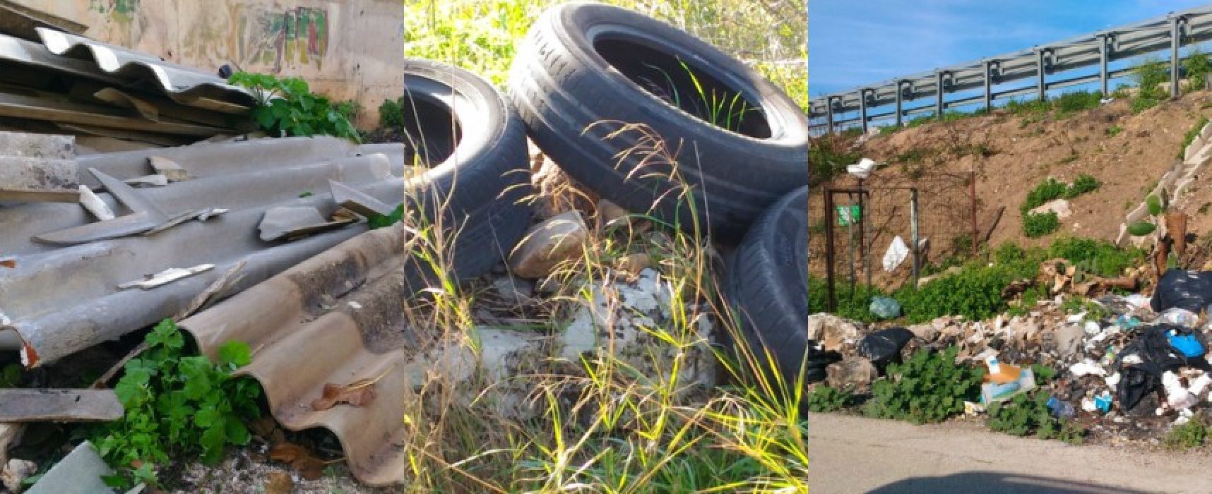 Federazione Pro Natura: “Continua l’abbandono illegale di rifiuti, c’è anche amianto” / FOTO