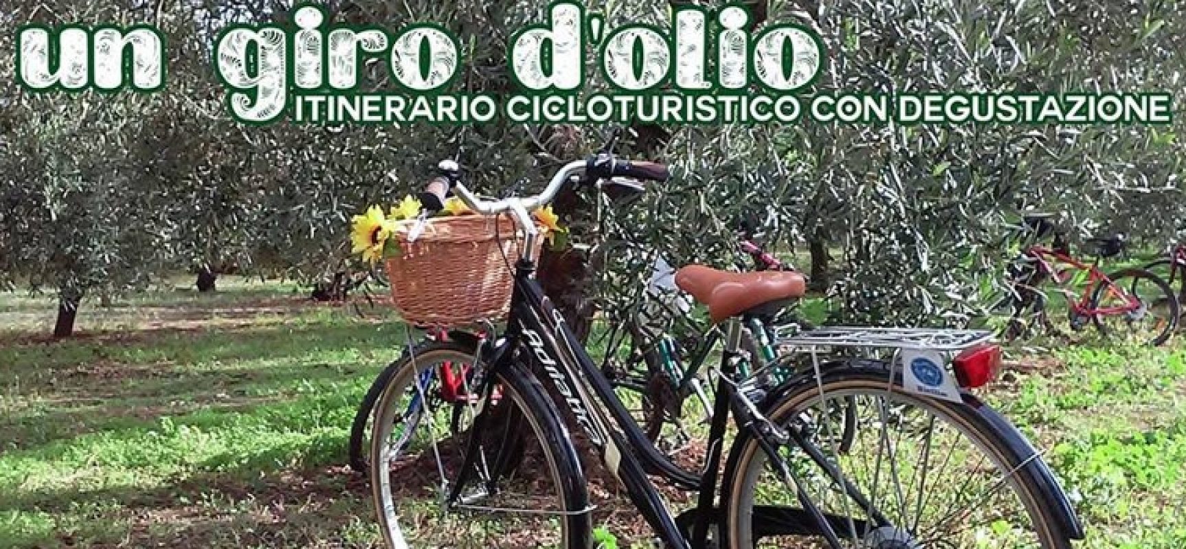 “Un giro d’olio”, ciclotour per riscoprire l’ulivo e il suo frutto organizzato da Biciliae