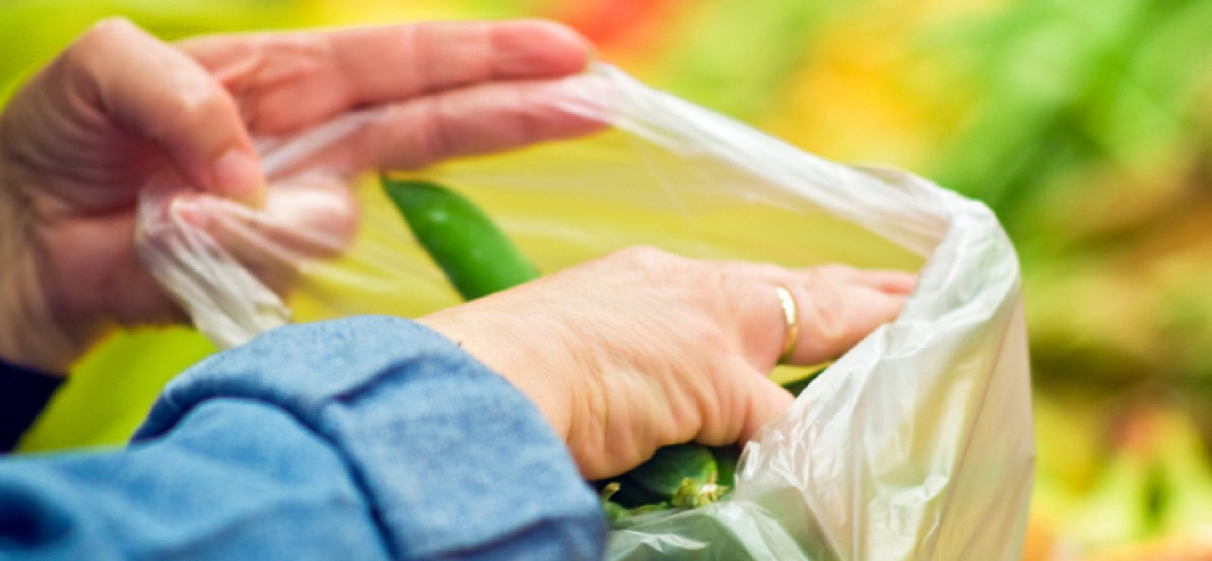 Obbligo sacchetti biodegradabili, Carriera: “Giusta la norma, sbagliate le tempistiche”