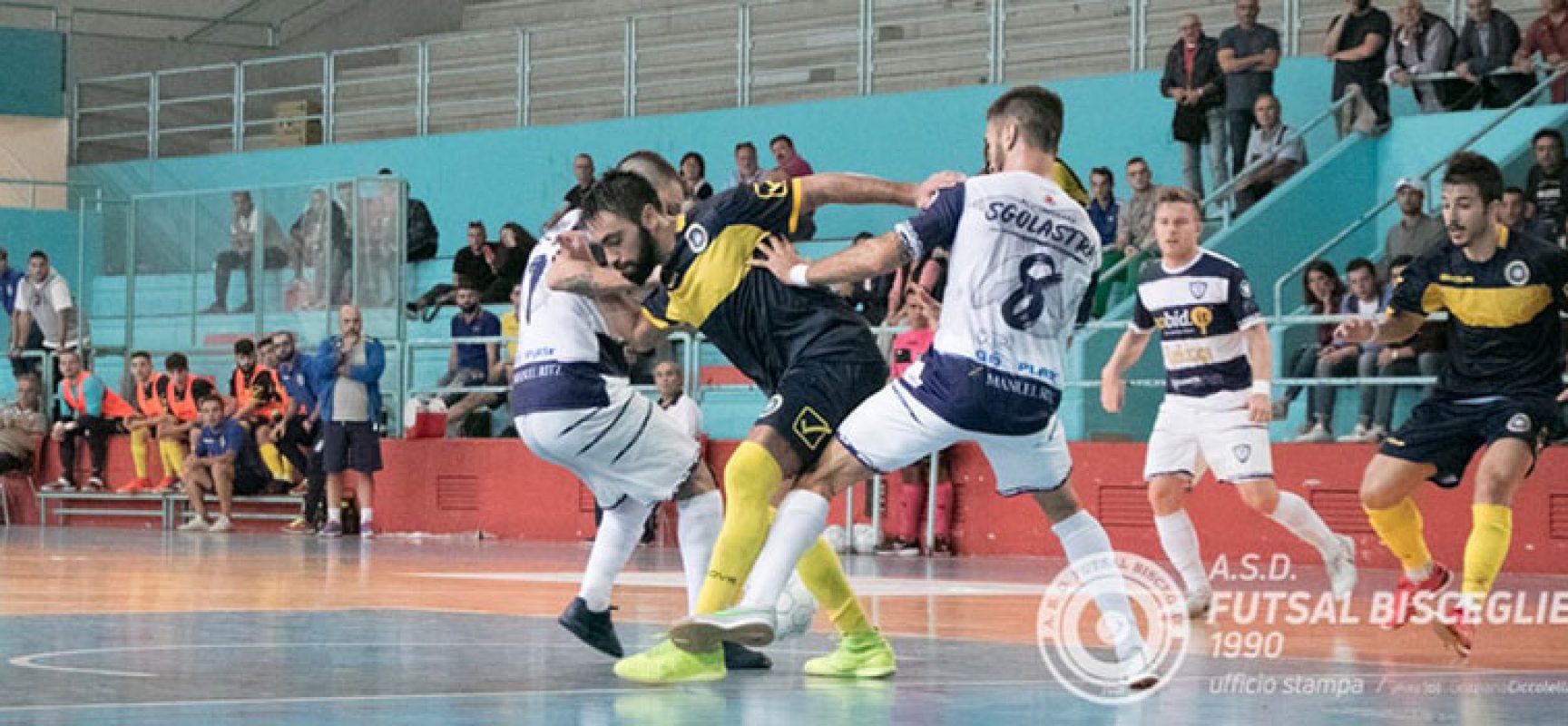 Il Futsal Bisceglie vuole rialzarsi, l’ex Sanchez sulla strada dei nerazzurri