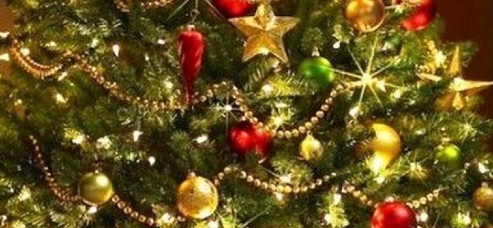 Ambiente 2.0 annuncia servizio di raccolta per alberi di Natale e addobbi dismessi