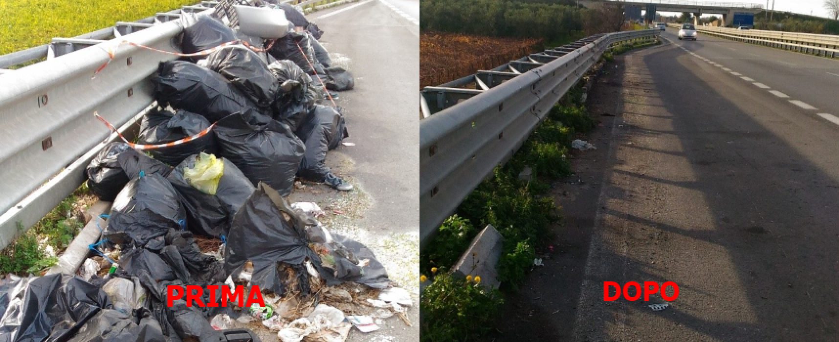 Pro Natura: “Iniziata la rimozione dei rifiuti dalla piazzole di sosta sulla SS16”