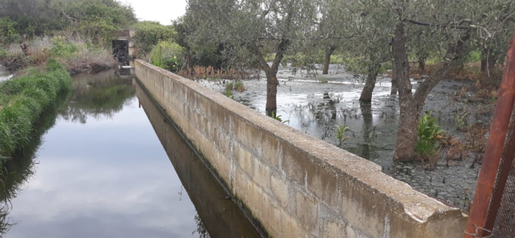 M5s Bisceglie: “Segnalato sversamento acque reflue in Carrara Lama di Macina” / FOTO