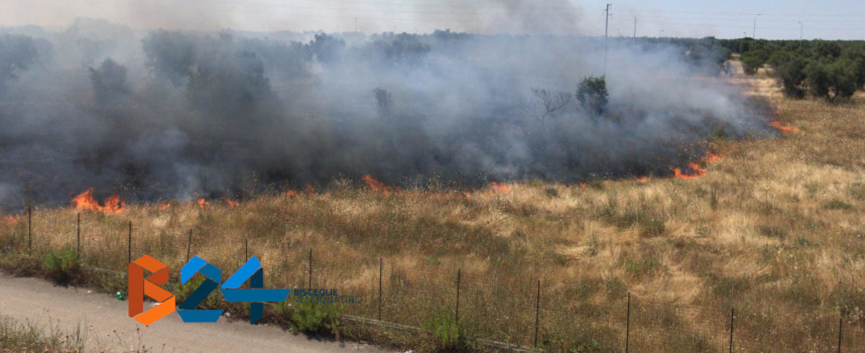 Vasto incendio si propaga in zona Lama di Macina / VIDEO