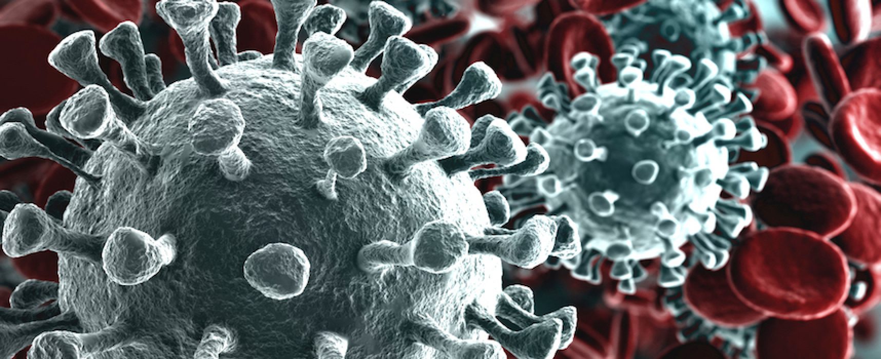 Emergenza Coronavirus, i dati aggiornati nella Bat al 19 marzo