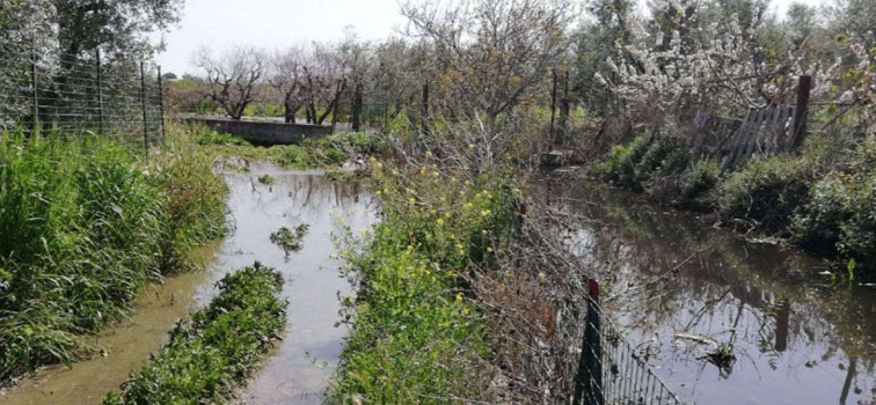Bisceglie D’Amare segnala problematiche in zona Lama di Macina, “Canale inonda terreni con acque nere”