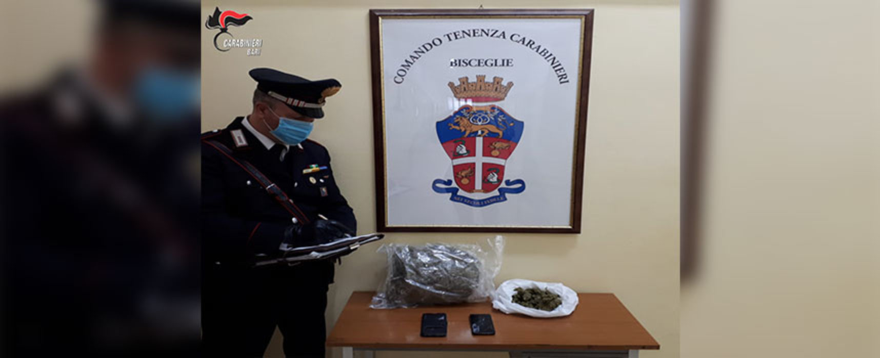 Carabinieri di Bisceglie sequestrano 1.2 kg di marijuana, due gli arresti