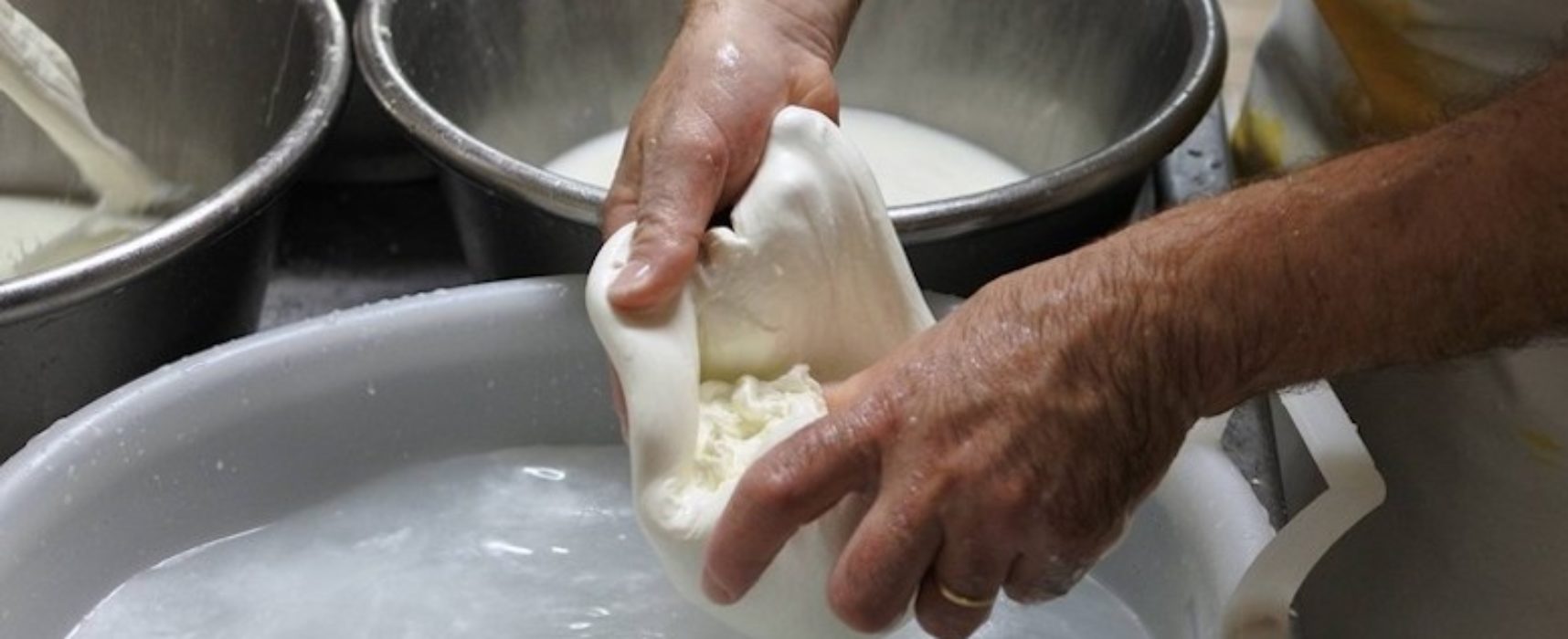 Nasce Confcaseari, sigla degli imprenditori settore lattiero di Bari e Bat