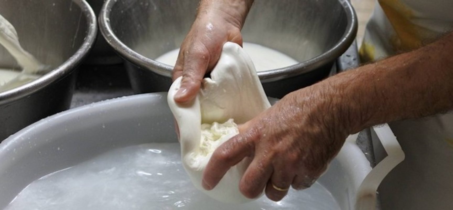 Nasce Confcaseari, sigla degli imprenditori settore lattiero di Bari e Bat