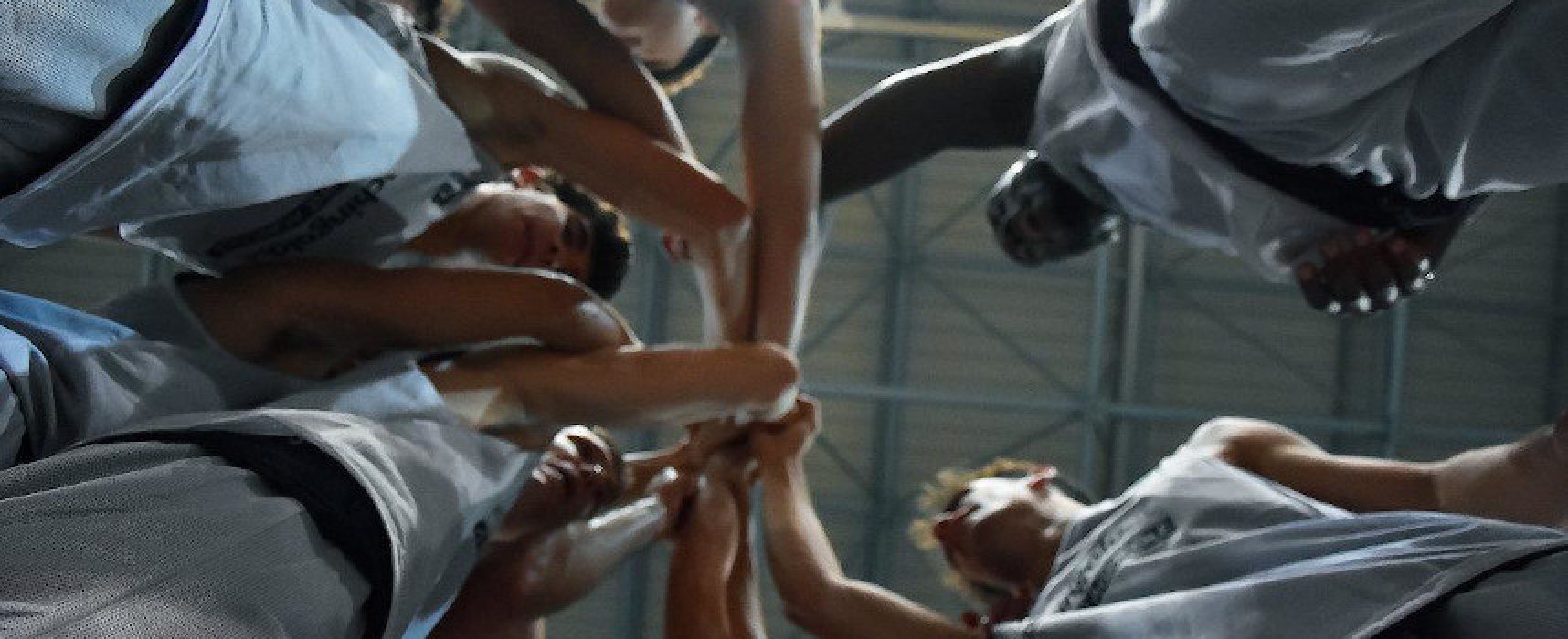 Basket, Serie B: i Lions Bisceglie attendono in casa l’ostica Forio