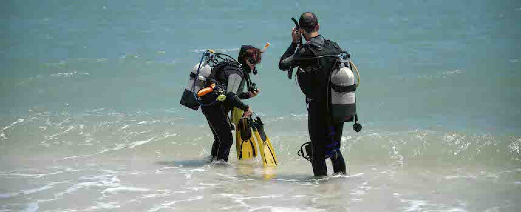 “Immersion Bisceglie”, iniziativa per ripulire il fondale marino della spiaggia La Conchiglia