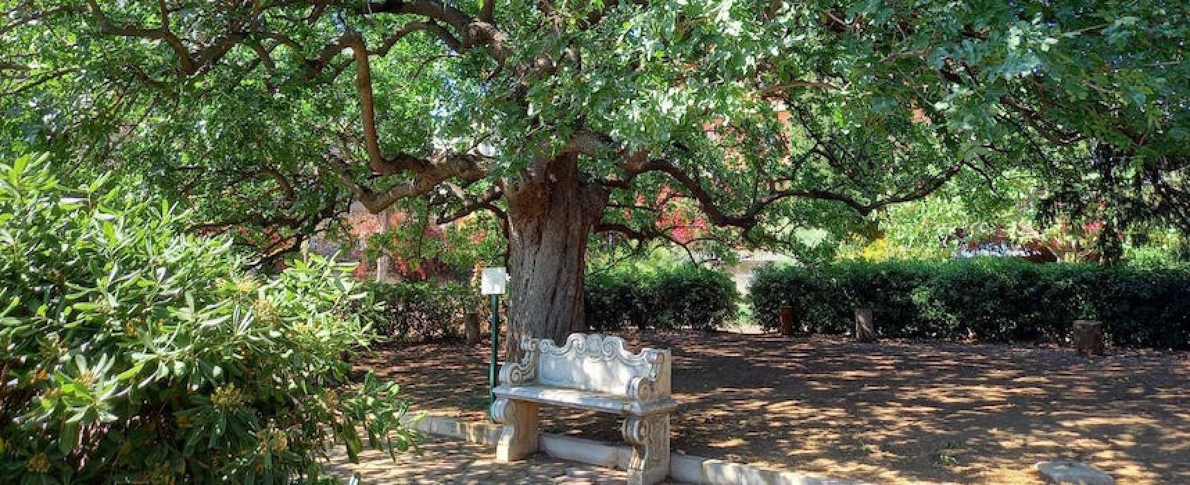 “Autunno in giardino”: Giardino Botanico Veneziani riapre le porte al pubblico