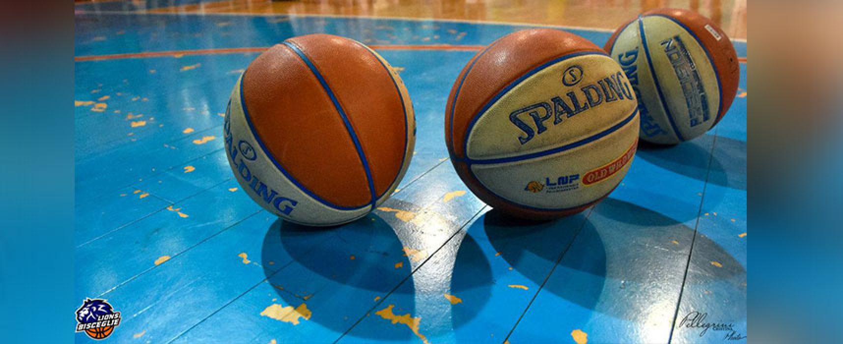 Lions Basket Bisceglie, ecco le avversarie del prossimo campionato di Serie B