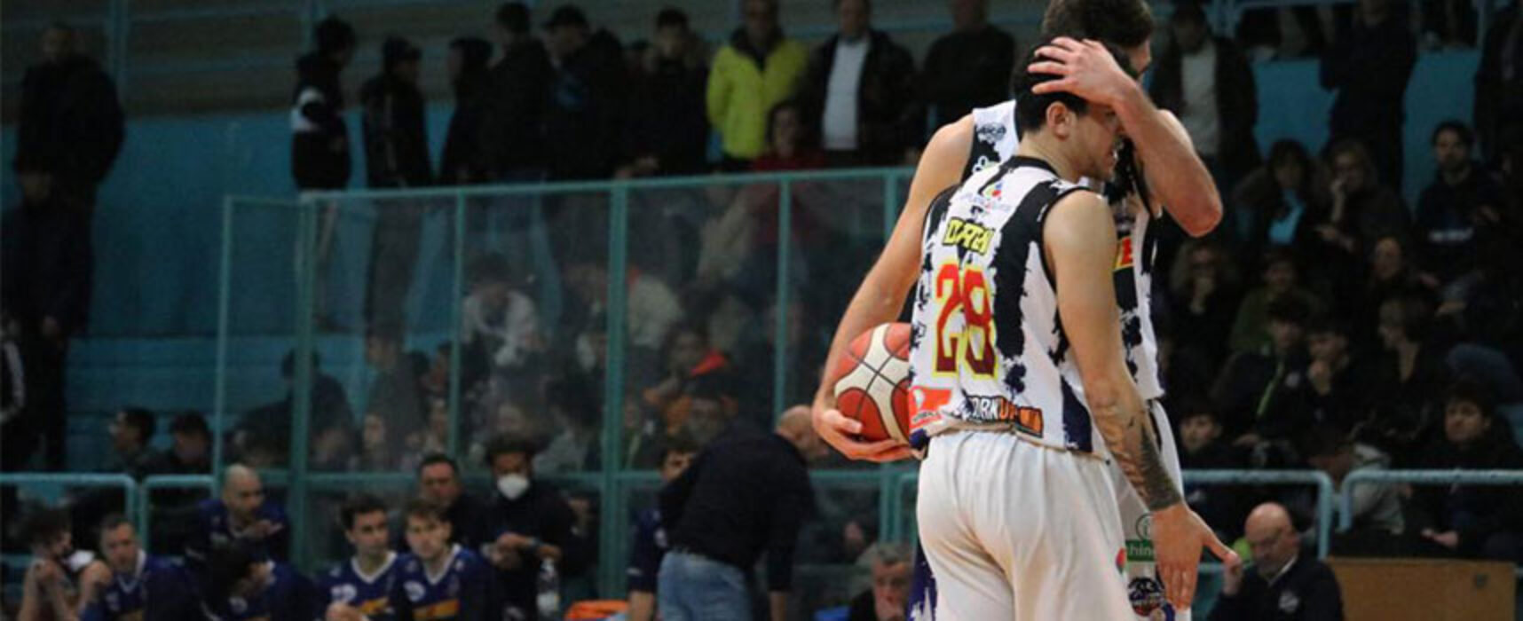 Basket, i Lions Bisceglie tornano alla vittoria contro la Virtus Cassino / CLASSIFICA