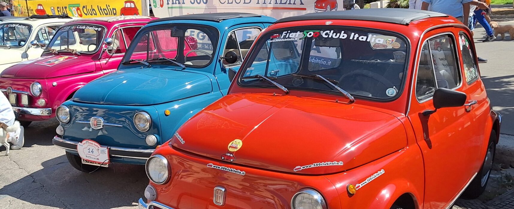 Raduno Fiat 500  a Bisceglie, successo di pubblico e consensi  / PHOTOGALLERY
